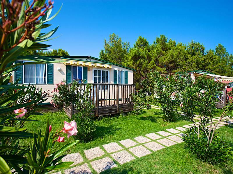 Arena Stupice Camping Homes Premantura Esterno foto